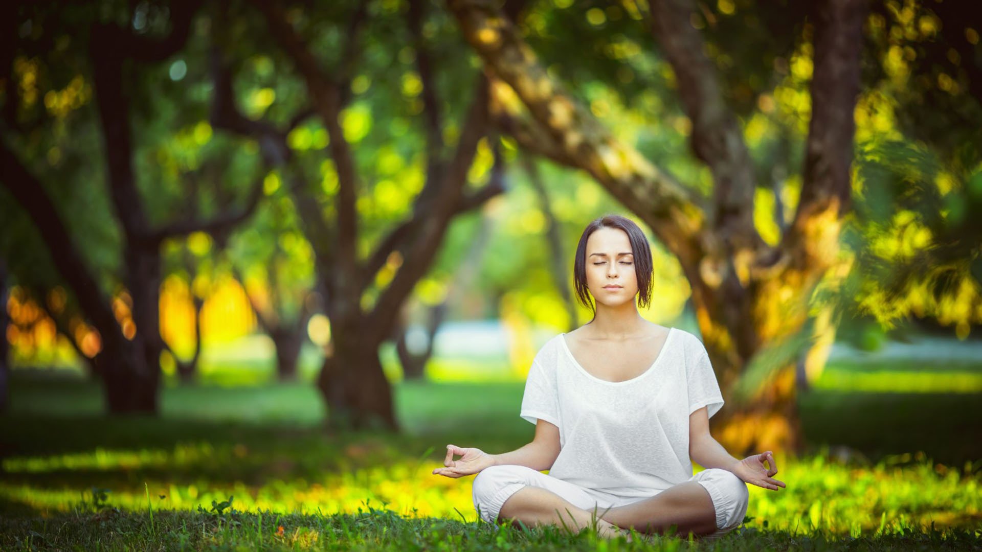 孙兴慜联赛第二球再成焦点，当常态成为最动人的叙事，孙兴慜联赛第二球，当常态成为最动人的叙事